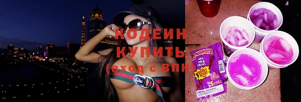 хмурый Карпинск