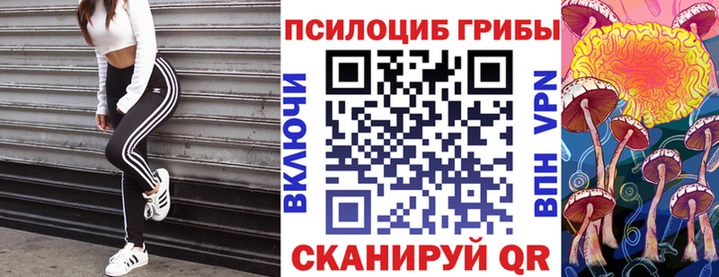 Псилоцибиновые грибы мухоморы  даркнет сайт  Заволжск 